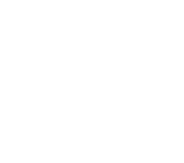 SKYFLY TICKET CO.,LTD